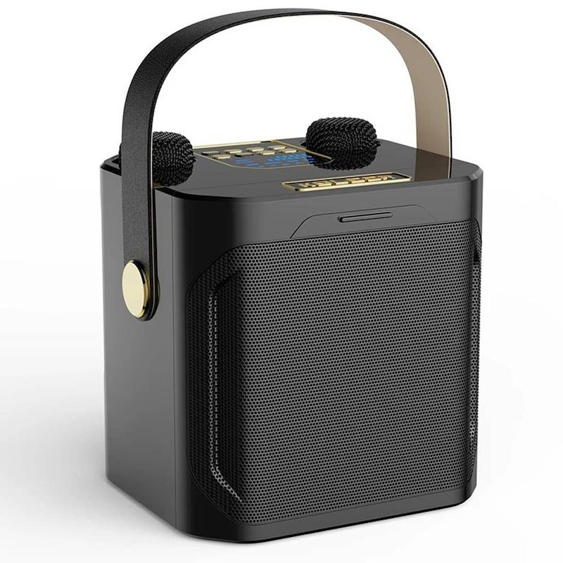 اسپیکر ANIKO S882 آنیکو همراه با دو میکروفن