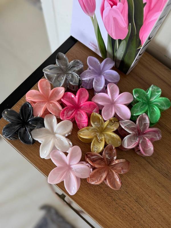 کلیپس پلومریا