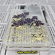 قاب گوشی iPhone 12 Pro Max آیفون طرح فانتزی آکواریومی خرسی لویی ویتون LV کد 555