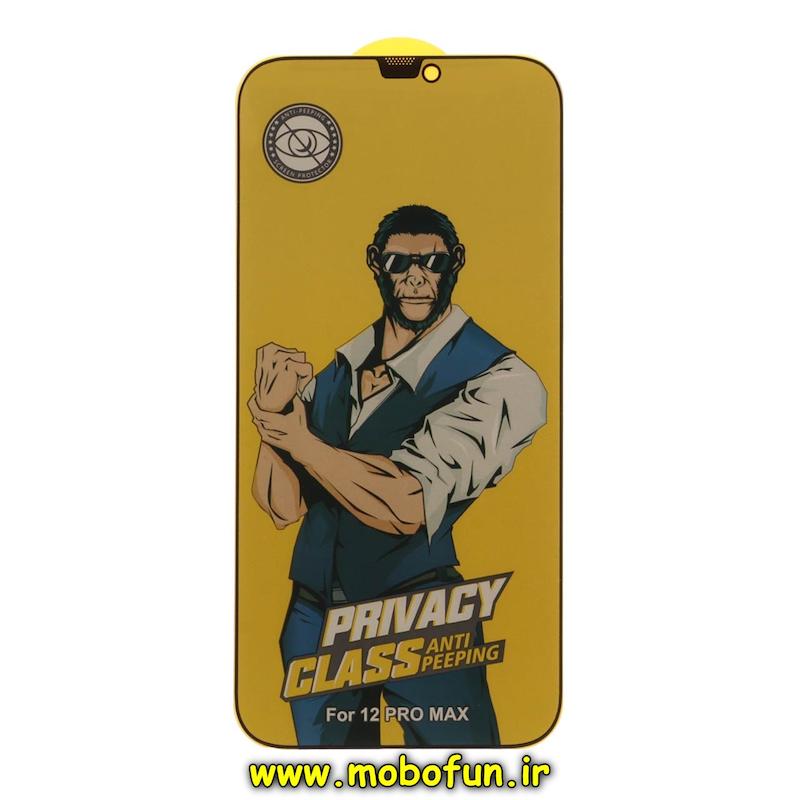 گلس گوشی iPhone 12 Pro Max آیفون شیشه ای Anti Peeping مدل پرایوسی Privacy سری SCREEN Protector اورجینال کد 75395