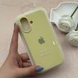 قاب گوشی iPhone 17 آیفون سیلیکونی اورجینال پاک کنی درجه یک زیربسته لیمویی کد 119783