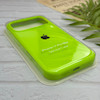 قاب گوشی iPhone 17 Pro Max آیفون سیلیکونی اورجینال پاک کنی درجه یک زیربسته سبز فسفری کد 124093