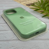 قاب گوشی iPhone 16 Pro Max آیفون سیلیکونی اورجینال پاک کنی درجه یک زیربسته سبز کد 124225