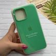 قاب گوشی iPhone 13 Pro Max آیفون سیلیکونی اورجینال پاک کنی درجه یک زیربسته سبز کد 124276