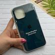 قاب گوشی iPhone 13 Pro Max آیفون سیلیکونی اورجینال پاک کنی درجه یک زیربسته سبز کله غازی کد 124281