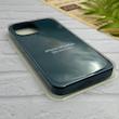 قاب گوشی iPhone 13 Pro Max آیفون سیلیکونی اورجینال پاک کنی درجه یک زیربسته سبز کله غازی کد 124281