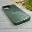 قاب گوشی iPhone 13 Pro Max آیفون سیلیکونی اورجینال پاک کنی درجه یک زیربسته سبز کد 124284