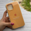 قاب گوشی iPhone 13 Pro Max آیفون سیلیکونی اورجینال پاک کنی درجه یک زیربسته نارنجی روشن کد 124296