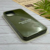 قاب گوشی iPhone 12 Pro Max آیفون سیلیکونی اورجینال پاک کنی درجه یک زیربسته سبز یشمی کد 124309
