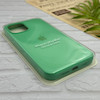 قاب گوشی iPhone 12 Pro Max آیفون سیلیکونی اورجینال پاک کنی درجه یک زیربسته سبز روشن کد 124310