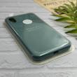 قاب گوشی iPhone X - iPhone XS آیفون سیلیکونی اورجینال پاک کنی درجه یک زیربسته سبز کد 126030