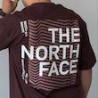 تیشرت مردانه north face