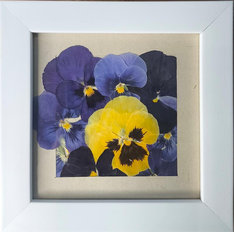 قاب گل طبیعی