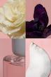 Zara WONDER ROSE EDT 90ML