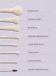 ست براش ۸ عددی شیگلم  | 8-Piece Brush Set