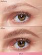 هاشور ابرو مدل BROW FECTION ANGLED BRUDH & DIP رنگ ASH