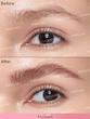 هاشور ابرو شیگلم مدل BROW FECTION ANGLED BRUDH & DIP رنگ Auburn