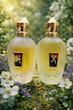 عطر ادکلن زرجف-زرجوف ناکسوس Xerjoff Naxos