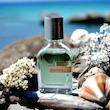 عطر ادکلن مگامار (مگاماره) اورتوپاریسی Orto Parisi Megamare