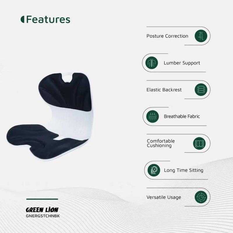 نشیمن ارگونومیک طبی گرین لاین Green Lion