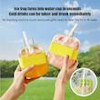 بطری یخ Summer cool دارای نی