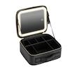 کیف لوازم آرایشی قابل حمل رینگ لایت دار گرین لاین Green Lion Makeup Organizer GNMAKEORGBK