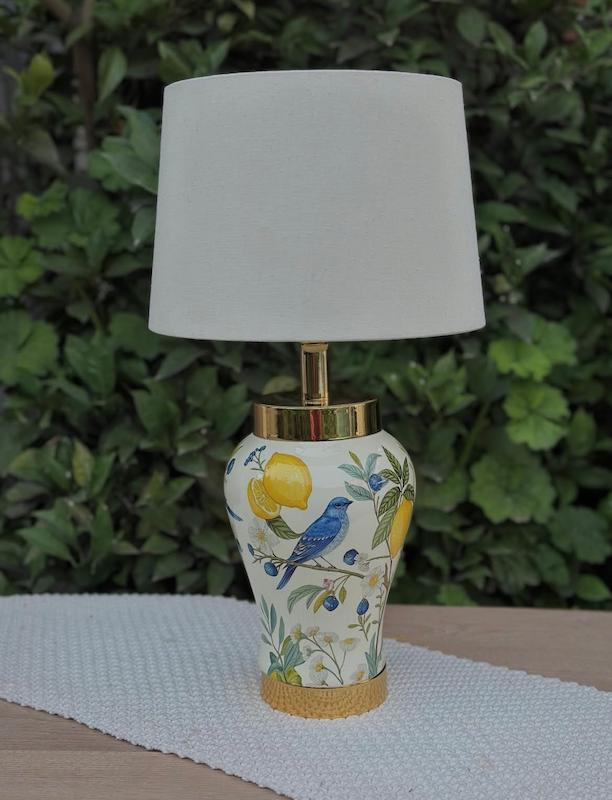 اباژور لیمو و پرنده