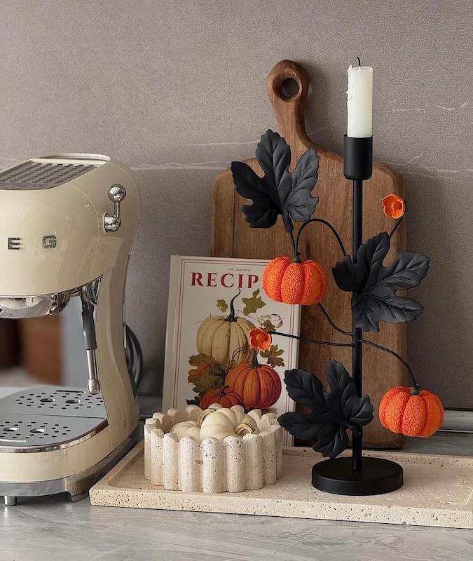 جاشمعی کدو و برگ