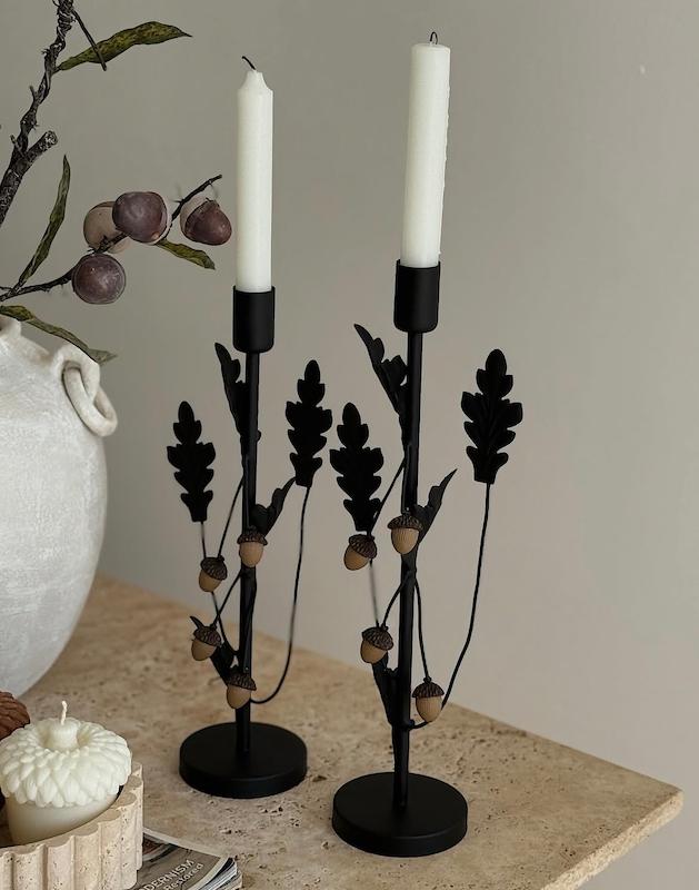 جاشمعی بلوط