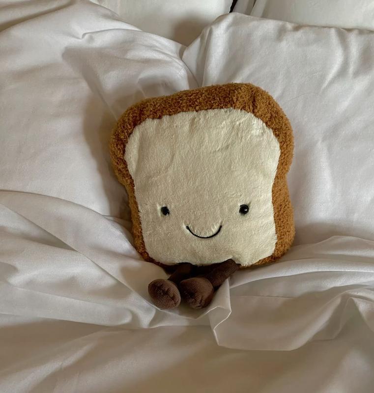 کیف نان تست