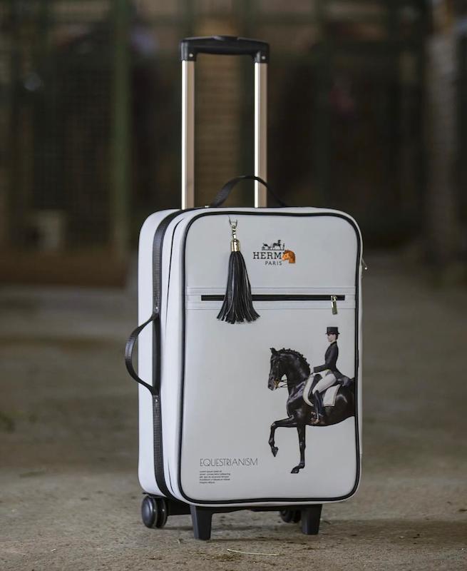 چمدان هرمس