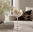 جام صدف