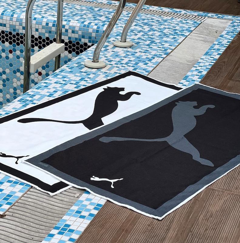 حوله استخری طرح پوما