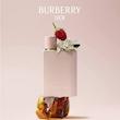 باربری هر - Burberry Her