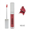  رژ لب مایع دیوستا مدل Long Lasting
