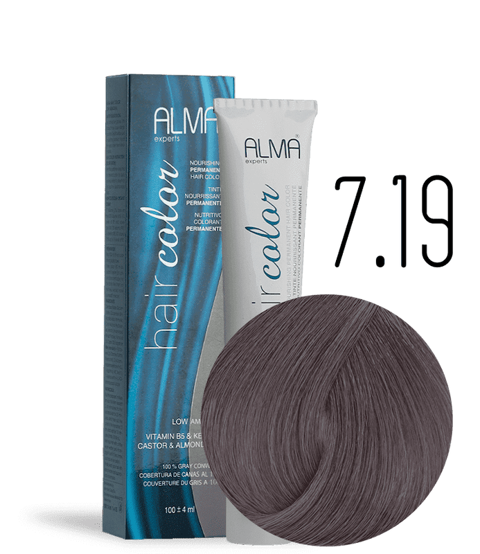 رنگ مو آلما سری دودی بنفش SMOKY PURPLE