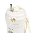شیکر شارژی هیسکا مدل HR-85 گنجایش 0.350 لیتر