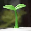 تزئینی سقف خودرو و موتور طرح جوانه