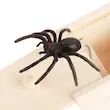ابزار شوخی مدل جعبه وحشت عنکبوت