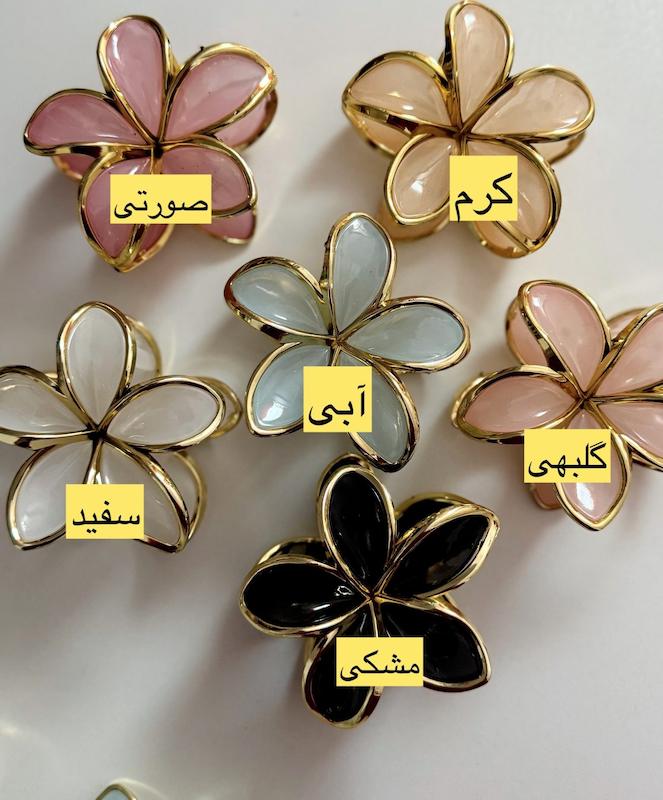 کلیپس مو زنانه پلومریا طرح گل دور طلایی