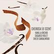 پک مسافرتی بهداشتی سول د ژانیرو شركتيSol de Janeiro Jet Set مدل Delicia Drench