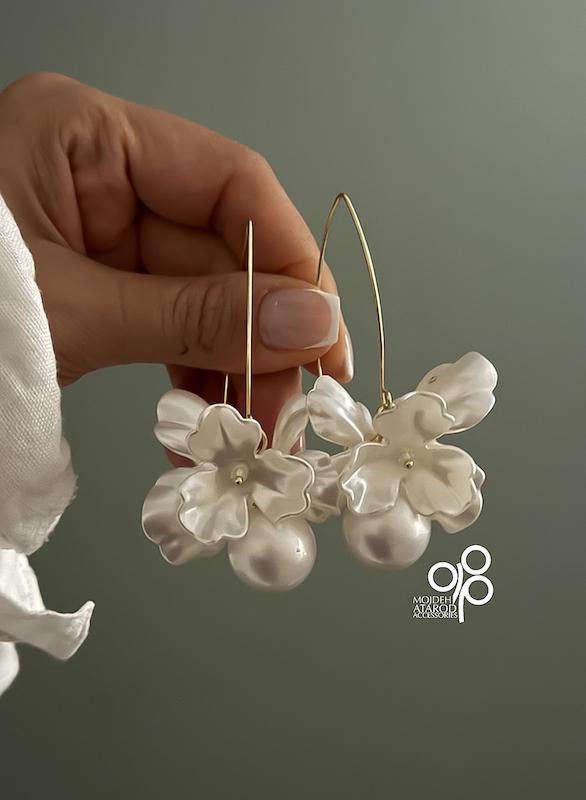 گوشواذه