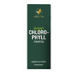 لیکوئید کلروفیل ویتاکتیو VITACTIV Chlorophyll Drops