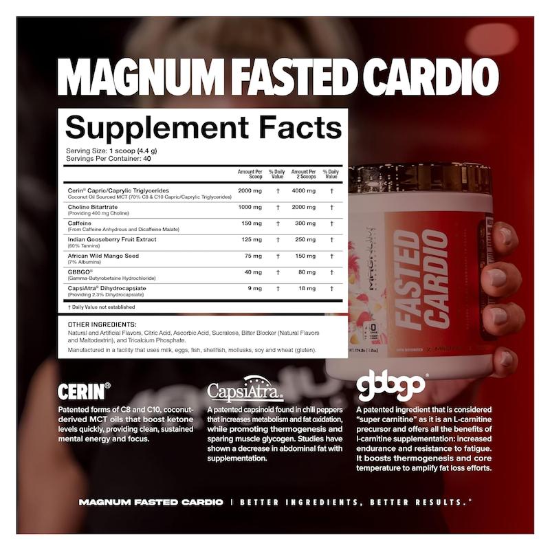 فستد کاردیو مگنوم MAGNUM FASTED CARDIO
