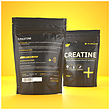 کراتین مونوهیدرات سی ان پی CNP Professional Creatine