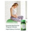 فولیک اسید نیچرز تروث Nature's Truth Folic Acid