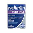 پروستات ول من ویتابیوتیکس Vitabiotics Wellman Prostace