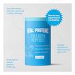 کلاژن پپتید ویتال پروتئین Vital Proteins Collagen Peptides Unflavored