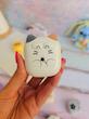 پاکن غلطک‌دار گربه‌ای