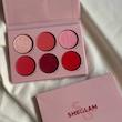 پالت رژگونه بهاره شیگلم SHEGLAM 🌷✨🎀